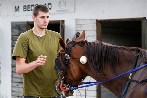 nikola jokic and his horses